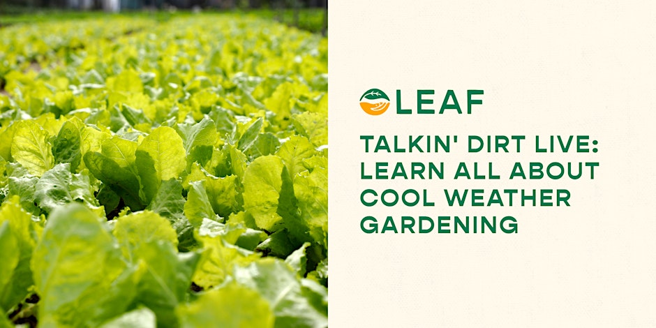 Talkin' Dirt LIVE: Learn All About Cool Weather Gardening