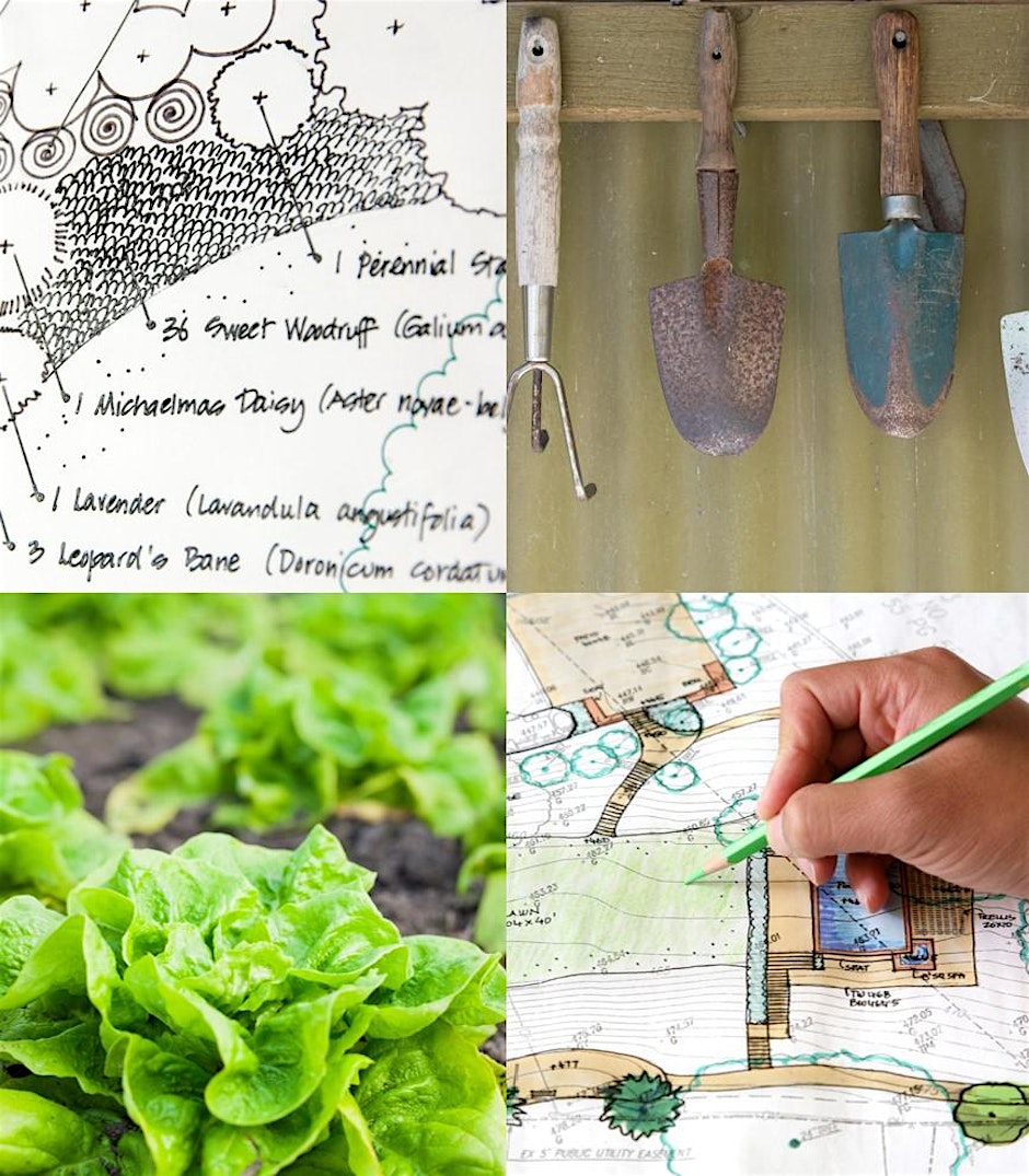 Introduction to designing a garden for food growing