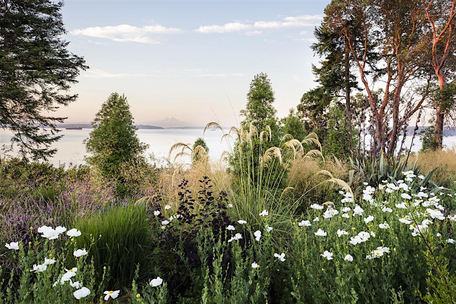 From Shadow to Sun: The Making of Two Gardens in the Pacific Northwest