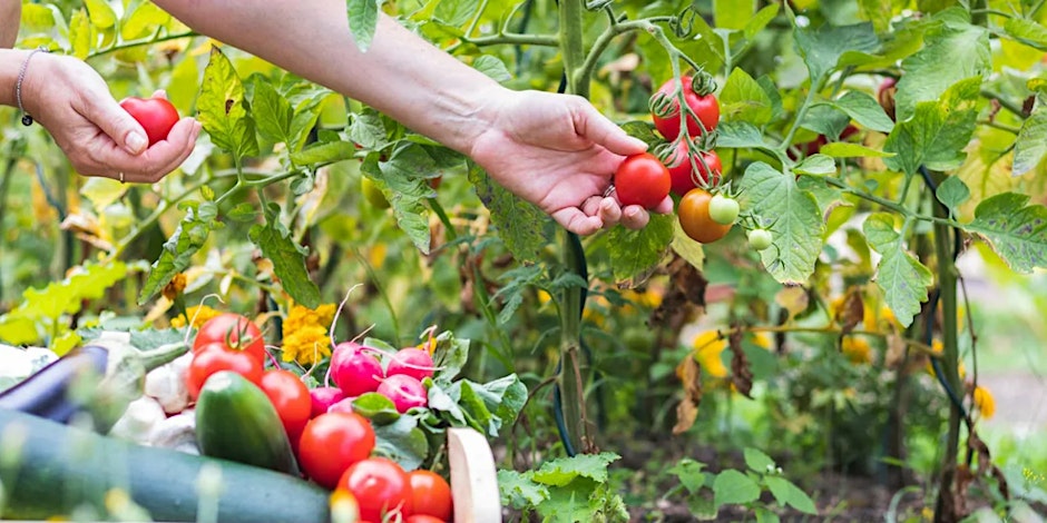 Community gardening sessions!