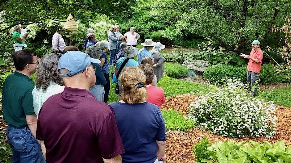 Shrubs as Sculptural Elements in Garden Design