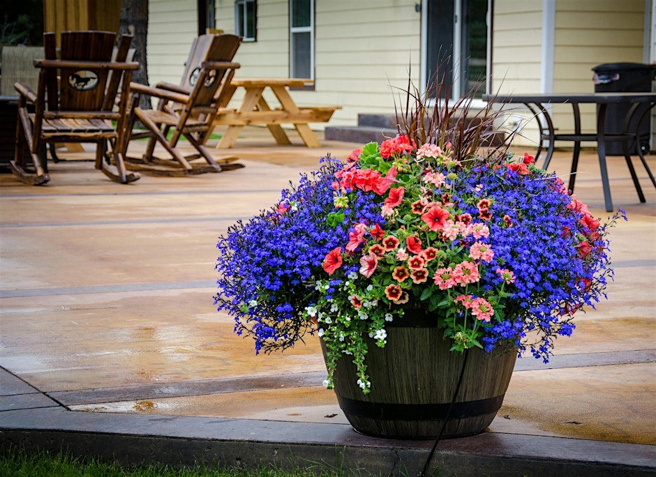 Container Gardening in Charlottesville