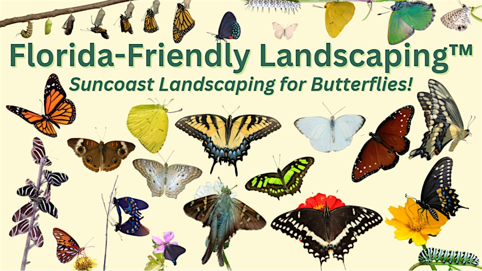 Florida-Friendly Landscaping™: Planting for Suncoast Butterflies