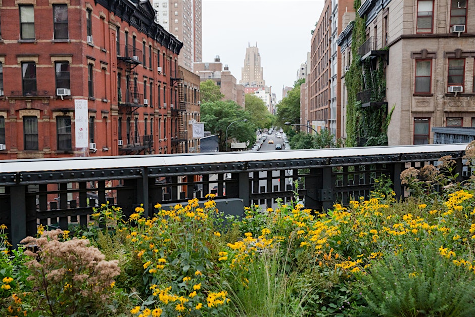 High Line Spotlight: Horticulture