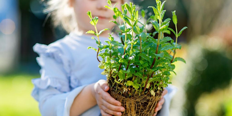 Magical Herb Garden Workshop (ages 4-9)