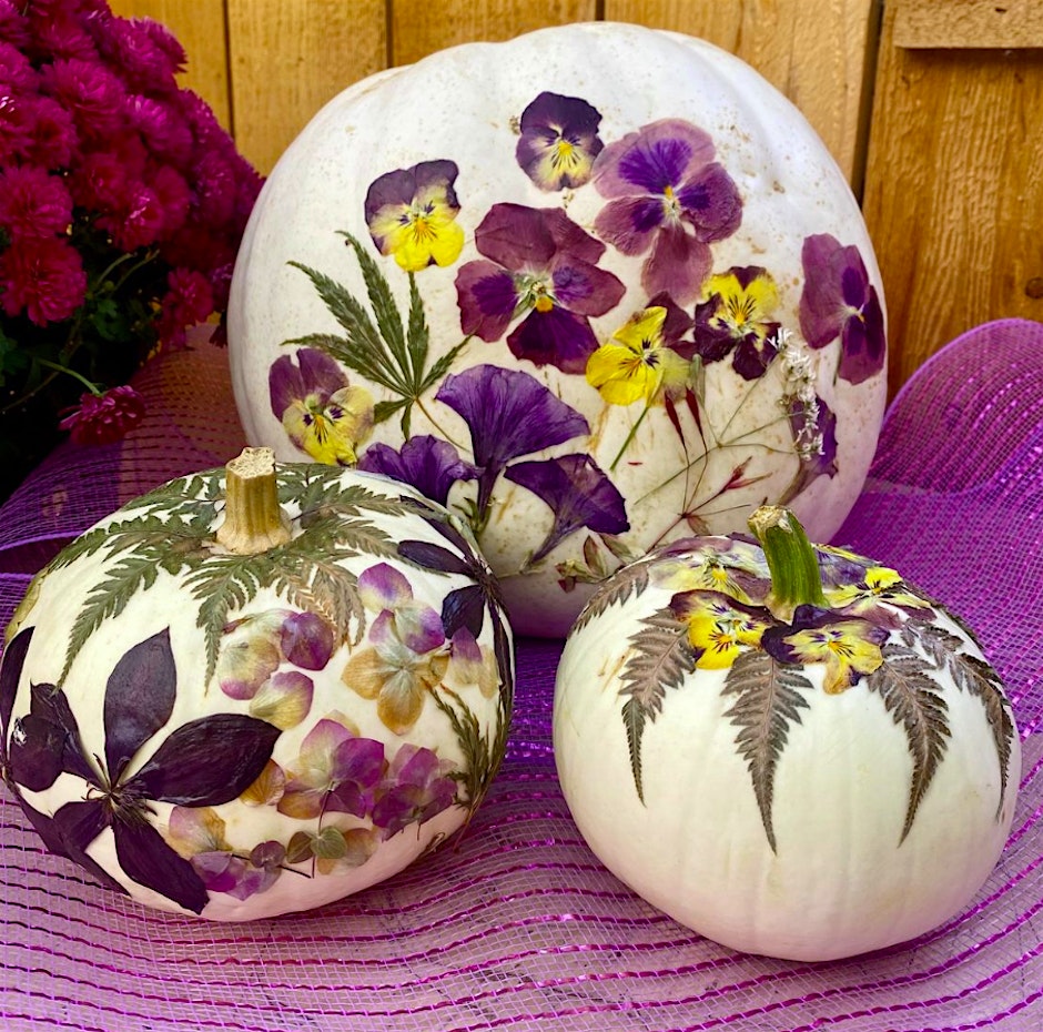 Botanic Pressed Flower Pumpkin Workshop