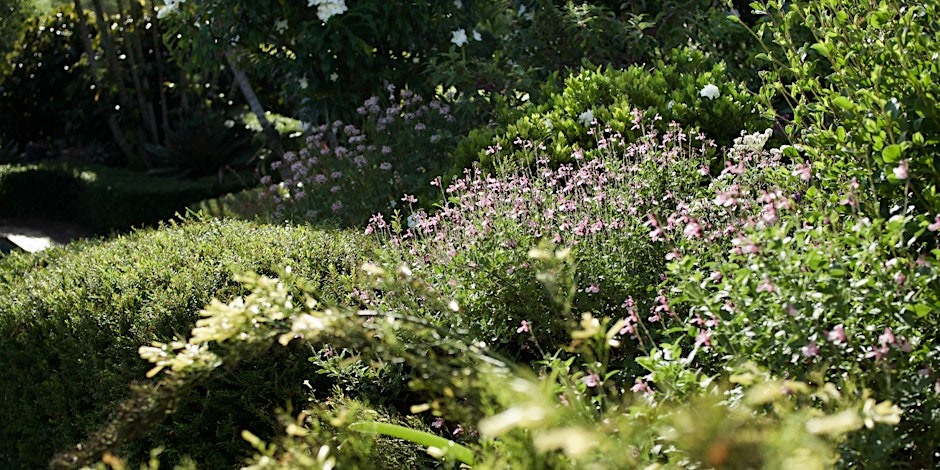Cottage Gardening with special guest Carol Kerkin