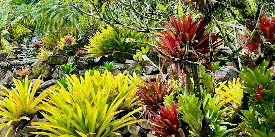 Flower Show Horticulture Class