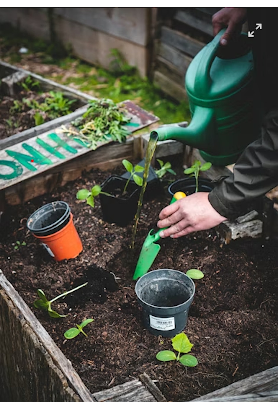 Urban Gardening