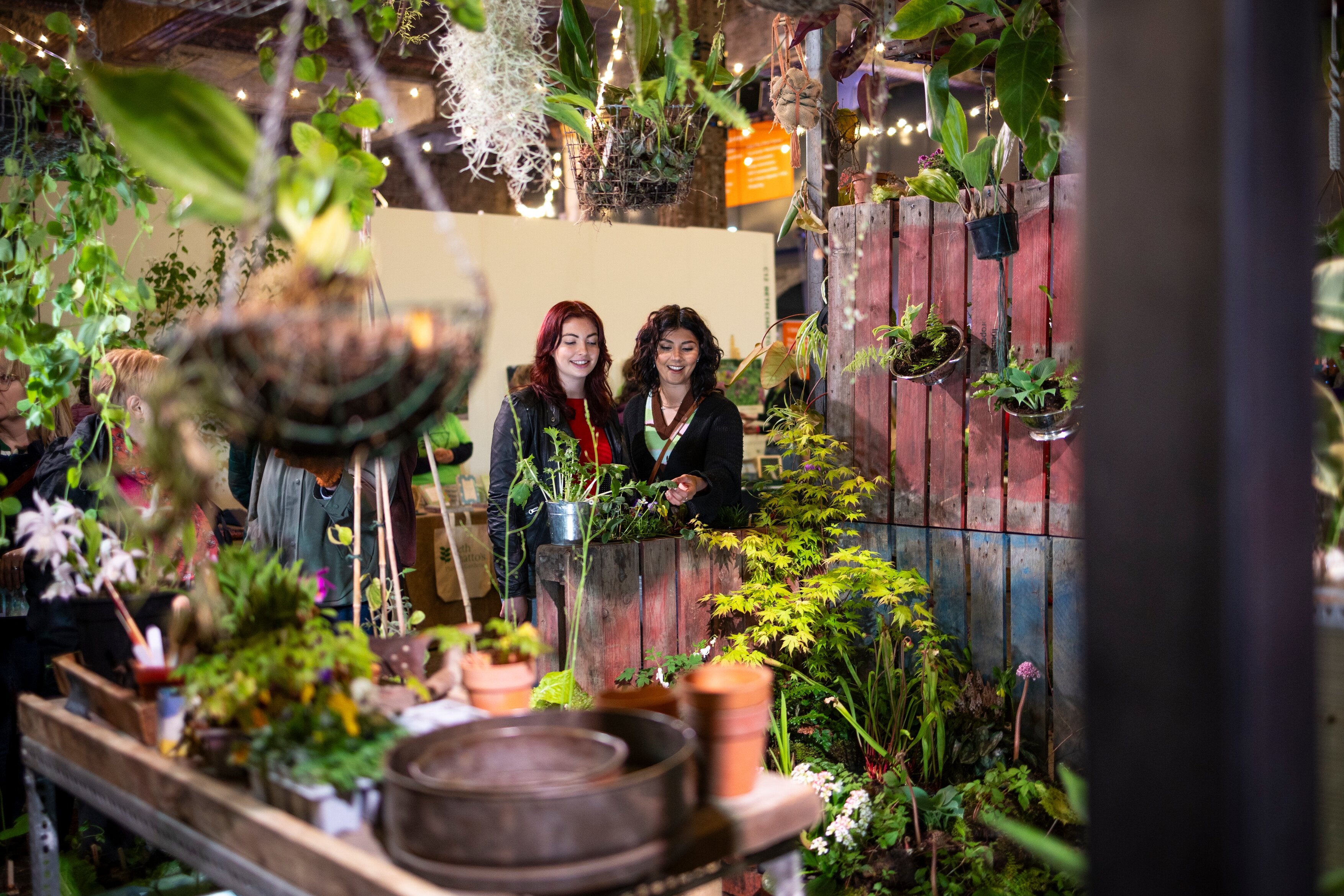 RHS Plant Festival
