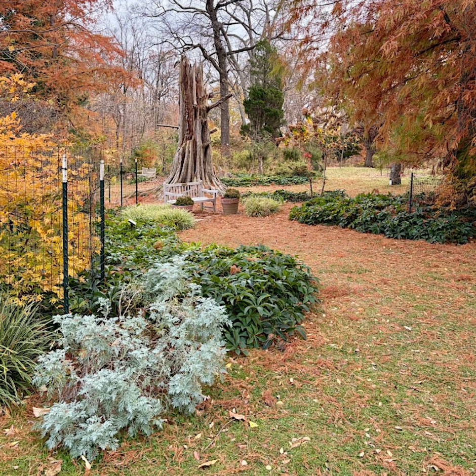 Gardener's Workshop: Gardening in Early Fall