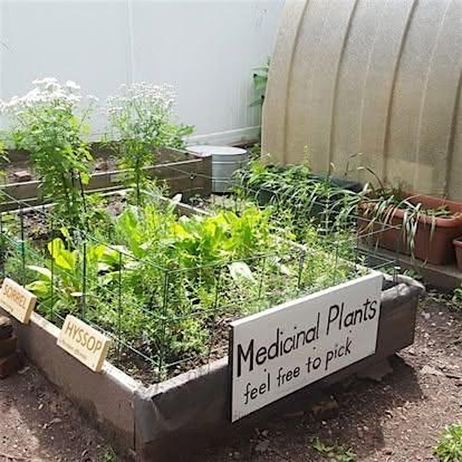 Climate Week Medicinal Garden Workshop