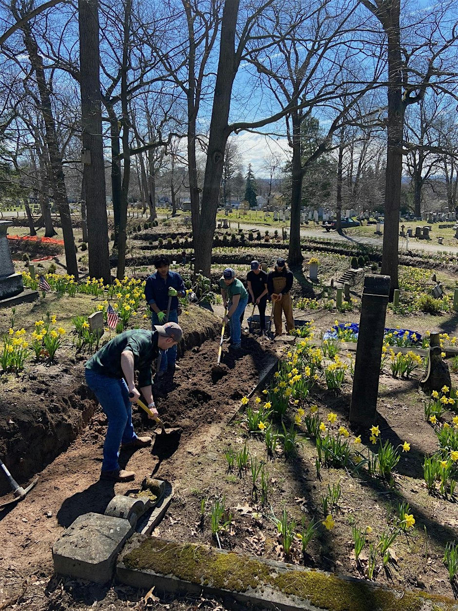 Planting and restoration at the Daffodil Project