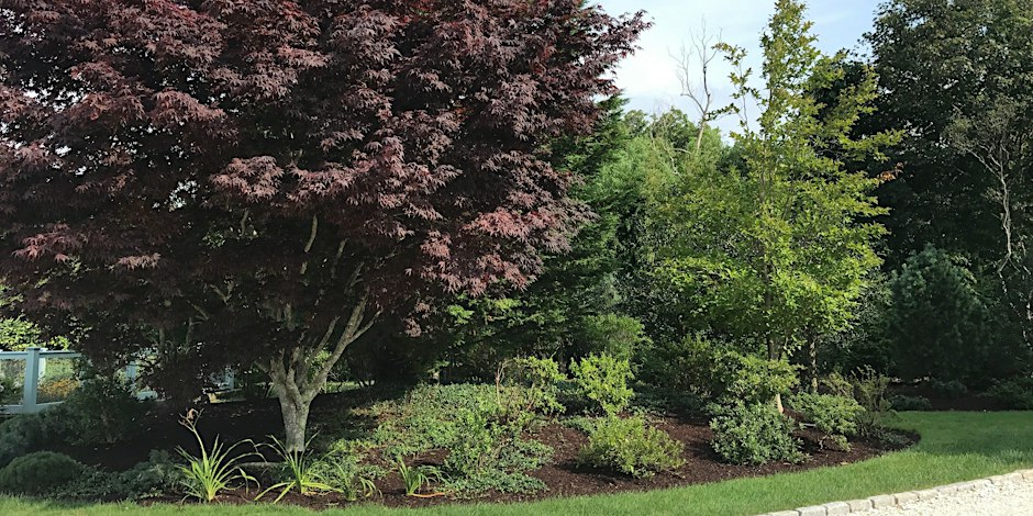 Arboretum Tour: Second Wind