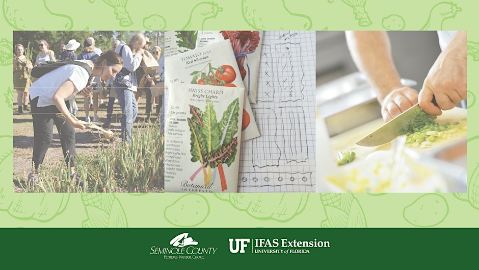 November 2026 Farm to Fork Workshop: Hydroponic Gardening (IN PERSON)