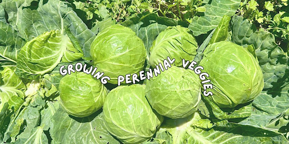 Year-Round Edible Gardening hosted by Ploughshares Nursery
