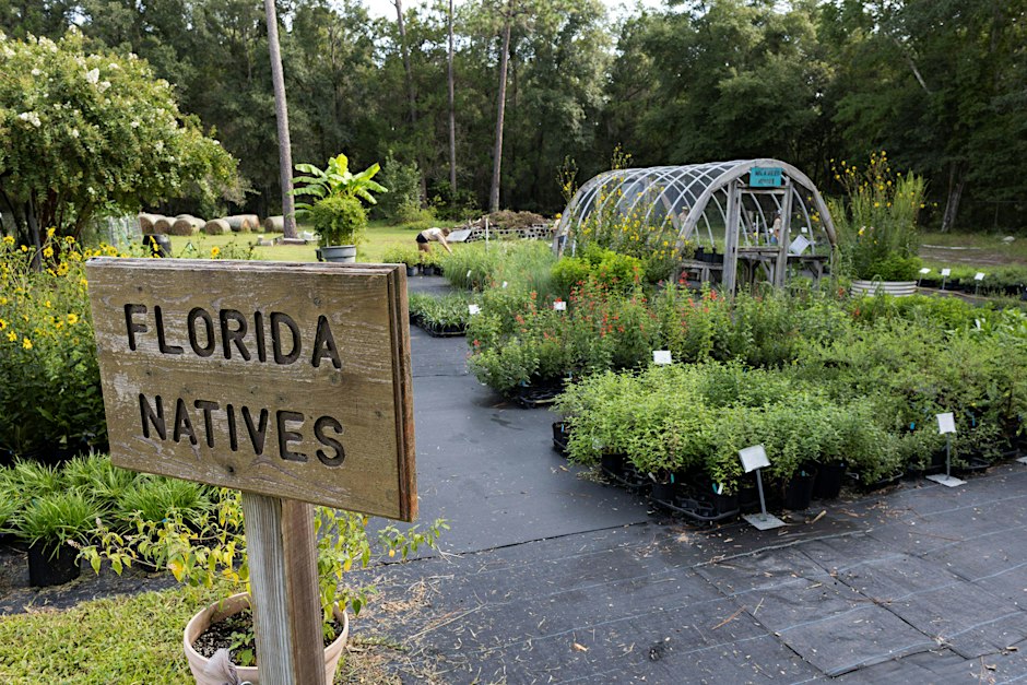 Florida Native Plant Gardening