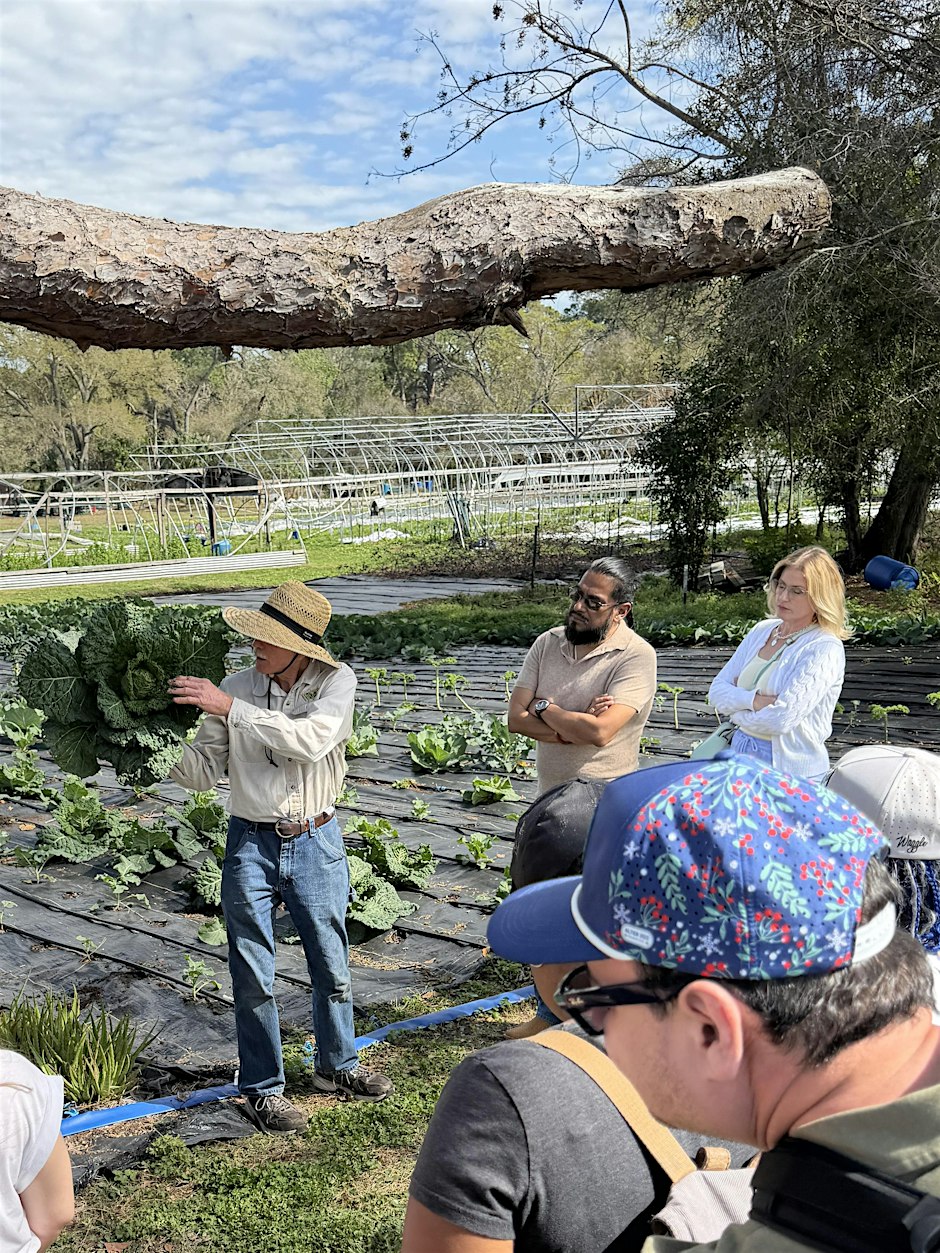 Organic Gardening Class: Essentials for Growing in Florida