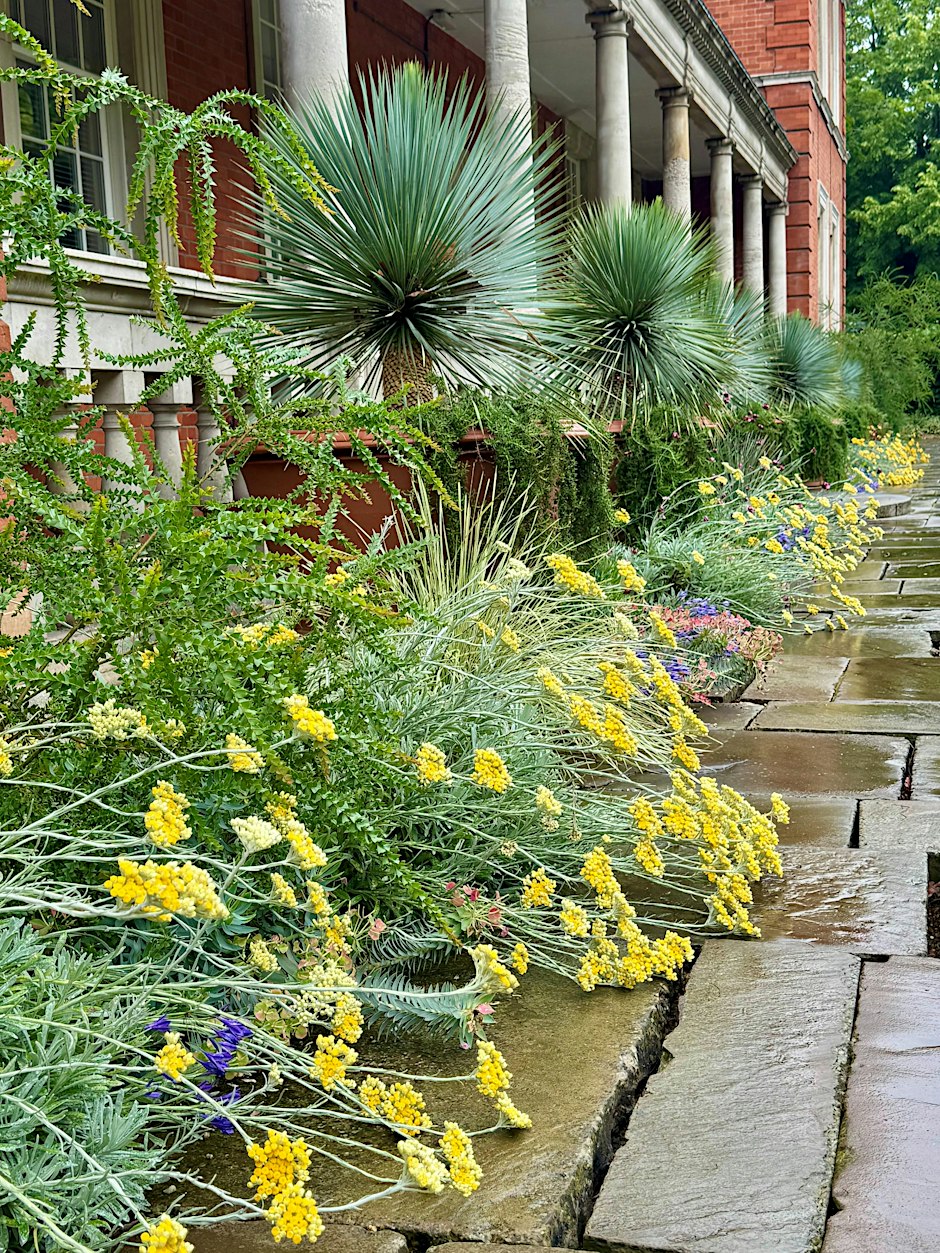The Royal Parks: Gardening for People and Planet (LIVE)