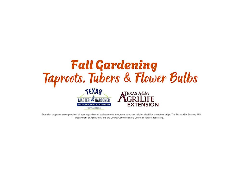 Fall Gardening: Taproots, Tubers & Flower Bulbs