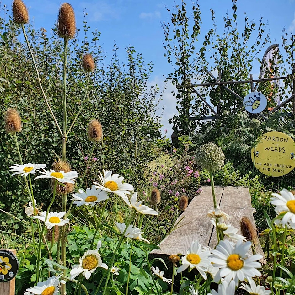 Gardening in Harmony with Nature Workshop - Great Big Green Week 2026