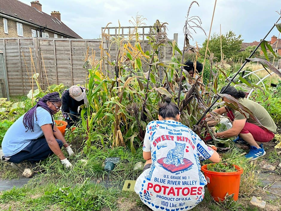 Open Gardening Day