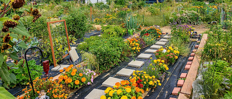 Gardening Basics & Paper Pots