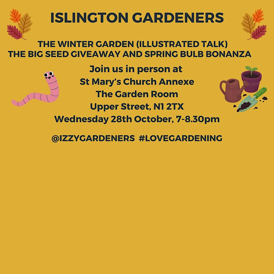 Illustrated Talk, Seed Giveaway and Spring Bulb Bonanza