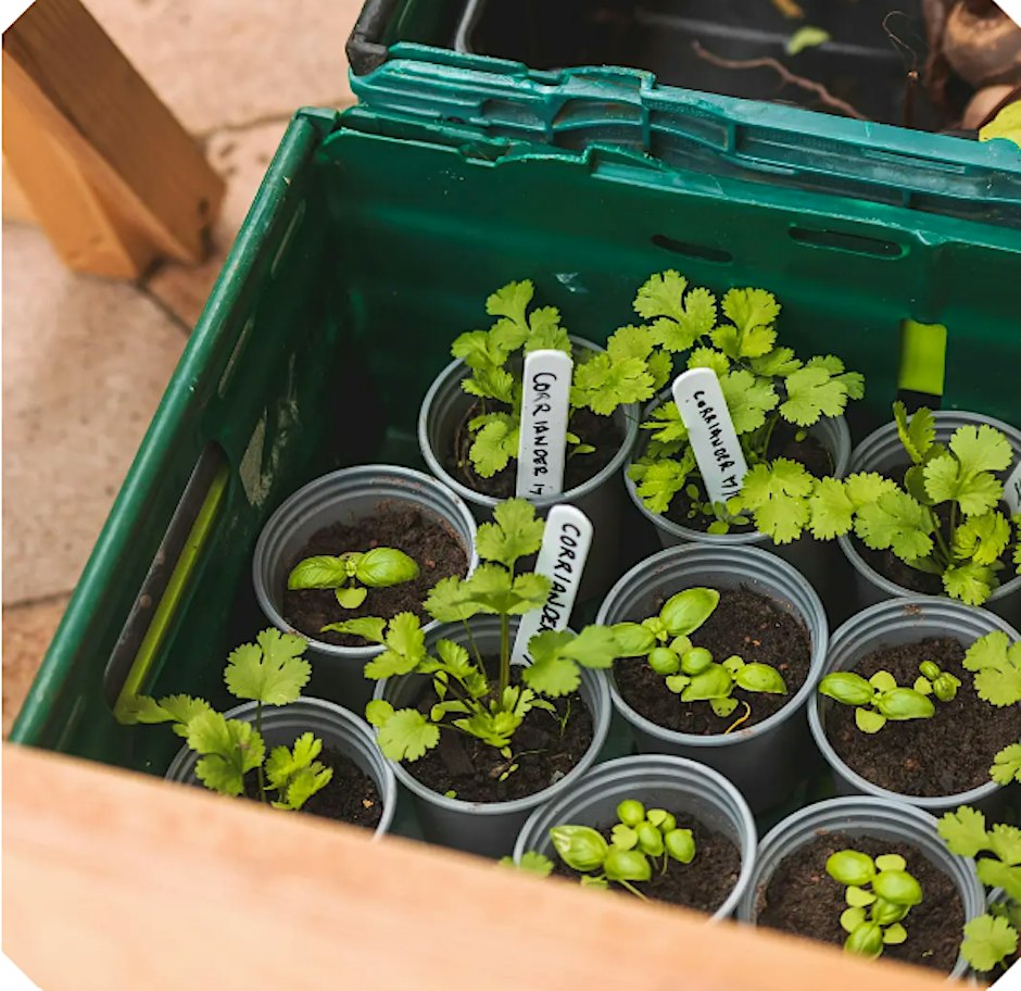 EVENING GARDENING CLUB