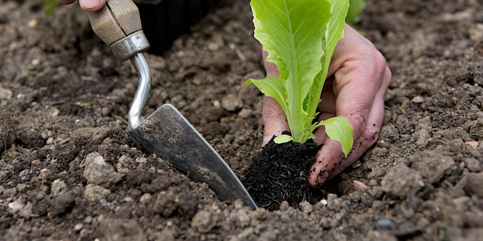 Ultimate Beginner Garden Workshop with Farmer Jeff 10.10