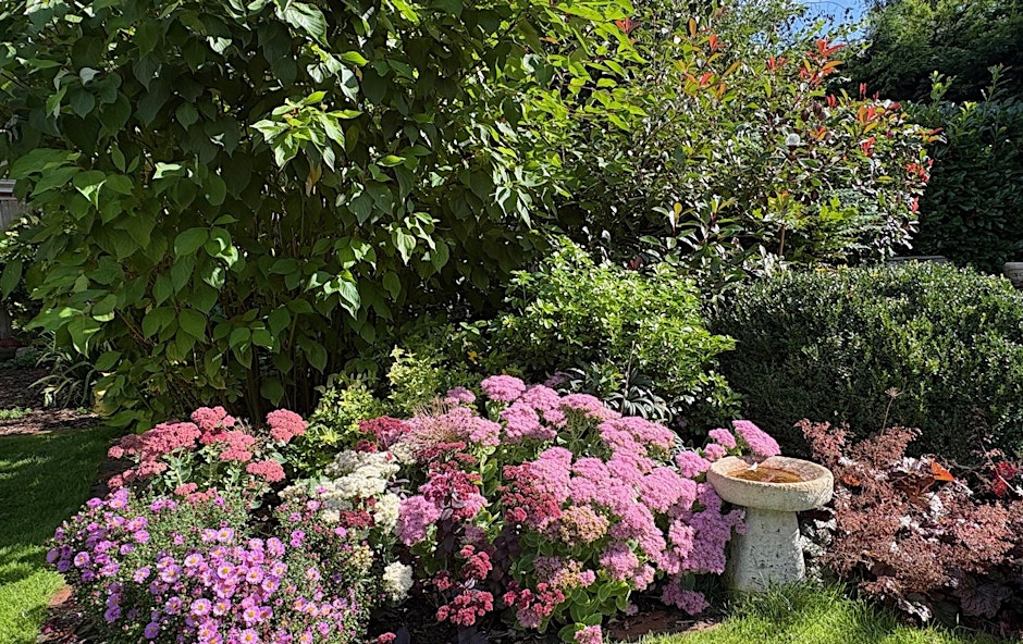 Planting Plants for Difficult Locations – Talk by Dan Pulling