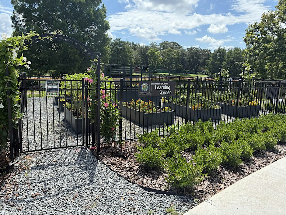 MLK, Jr. Learning Garden: Winter Gardening