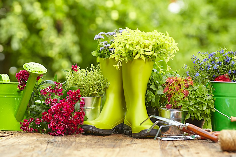 Lifelong Gardening with NC Extension Master Gardeners