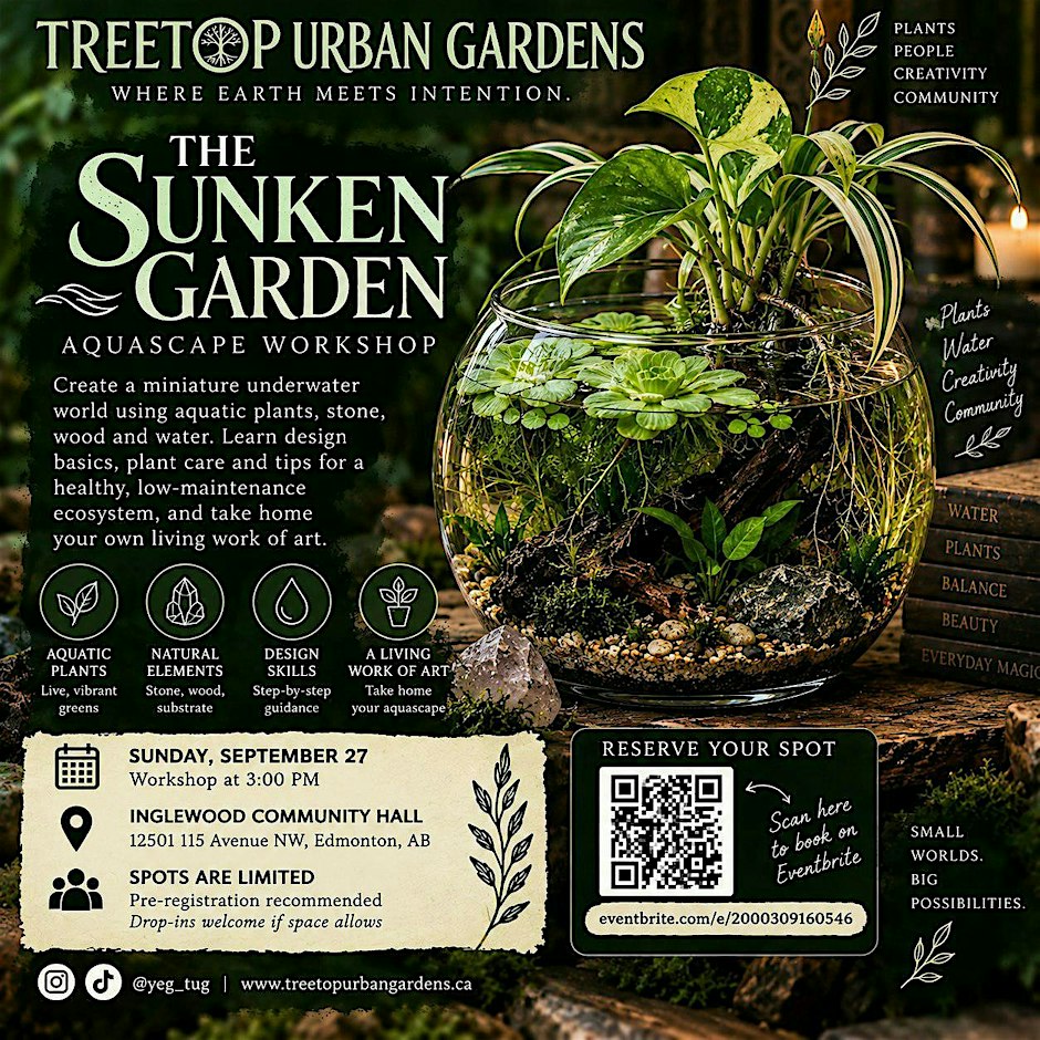The Sunken Garden: Miniature Aquascapes