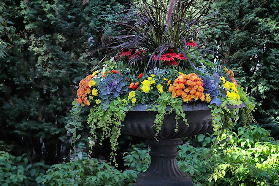 Fall Container Gardening