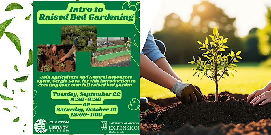 Intro to Raised Bed Gardening