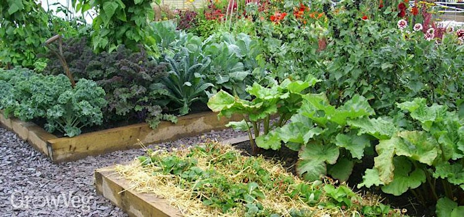 Winter Gardening & Care for Raised Beds