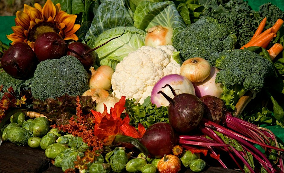 Vegetable Gardening with a Master Gardener (Garden Tour/Class)