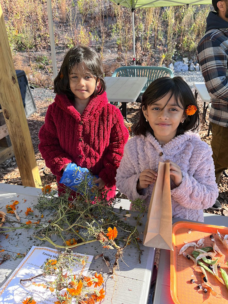Super Seedlings - Family Gardening Fun