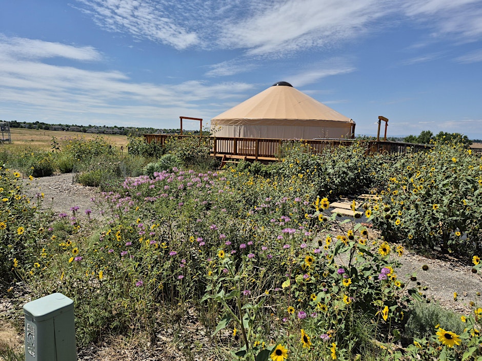 Native Plant Gardening Through the Seasons