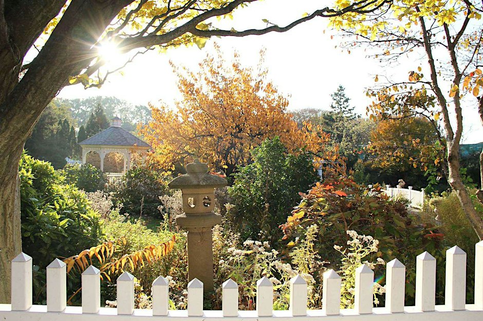 Autumnal Garden Tour with Horticulture Director Andi Pettis
