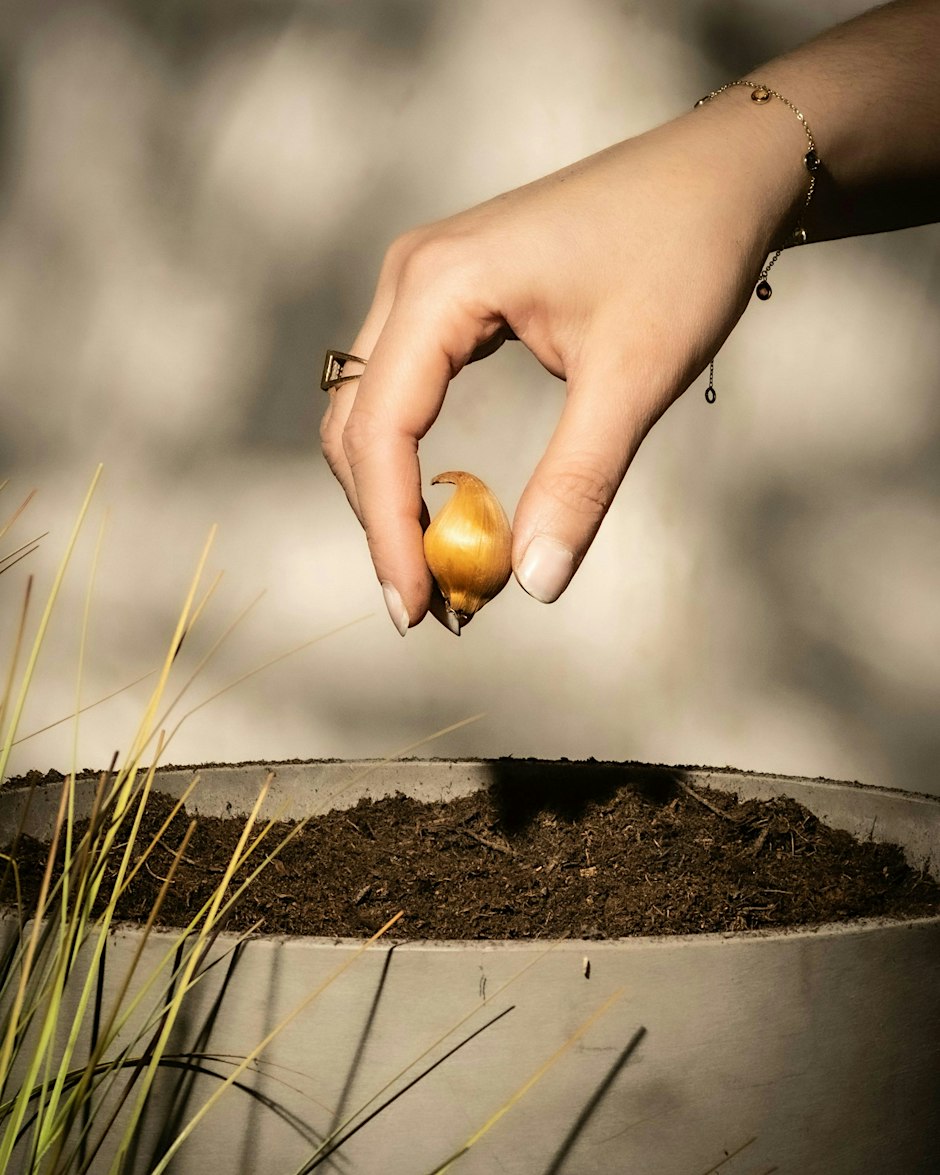 6th October - Gardening Club: Bulb Planting