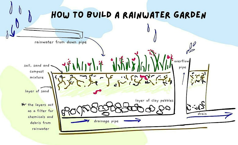 Rainwater Garden Workshop