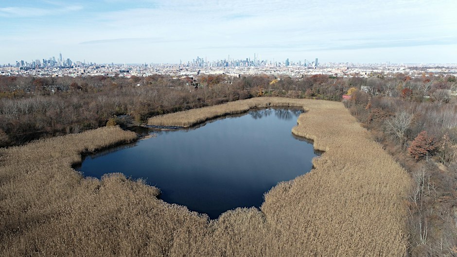 Volunteer Landscaping and Cleanup at Ridgewood Reservoir