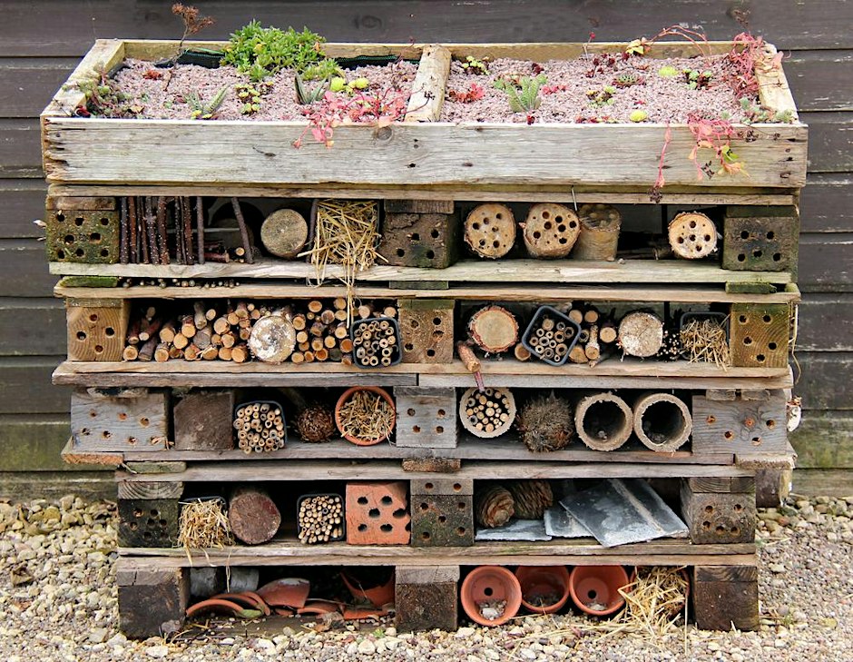 Environmental Gardening in Primary Schools