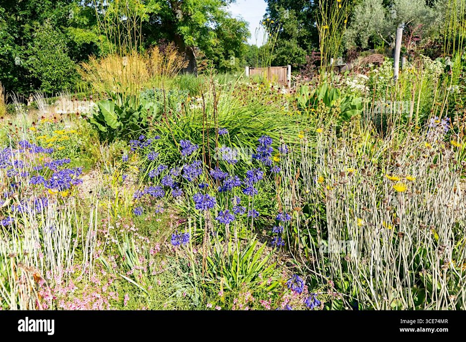 Wildlife Gardening in Changing Times