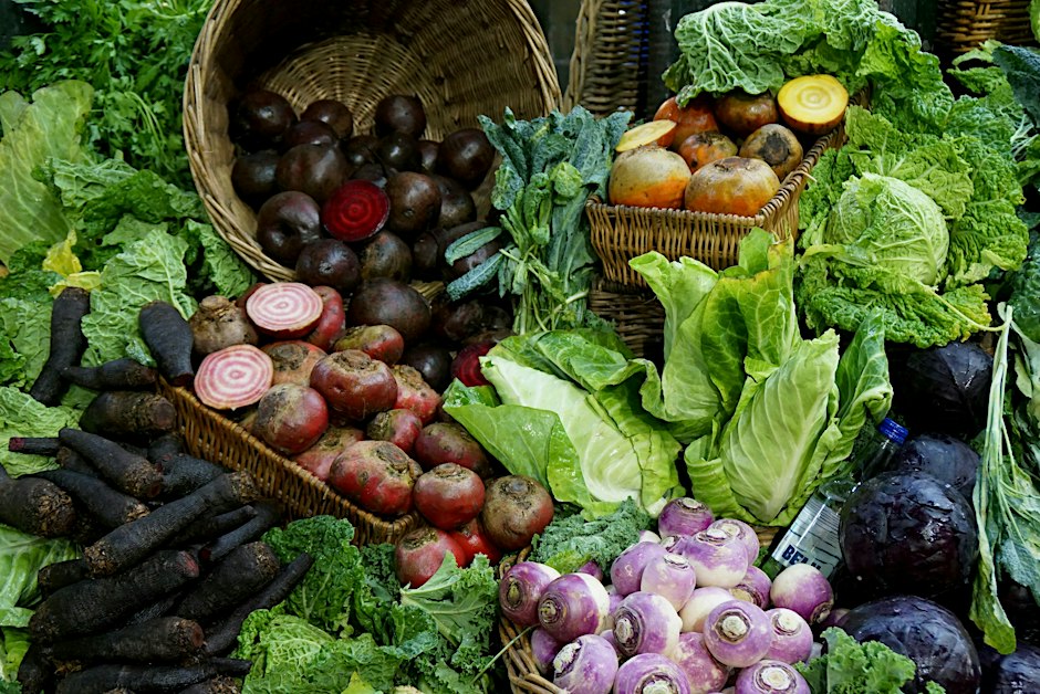 Fall Vegetable Garden Workshop