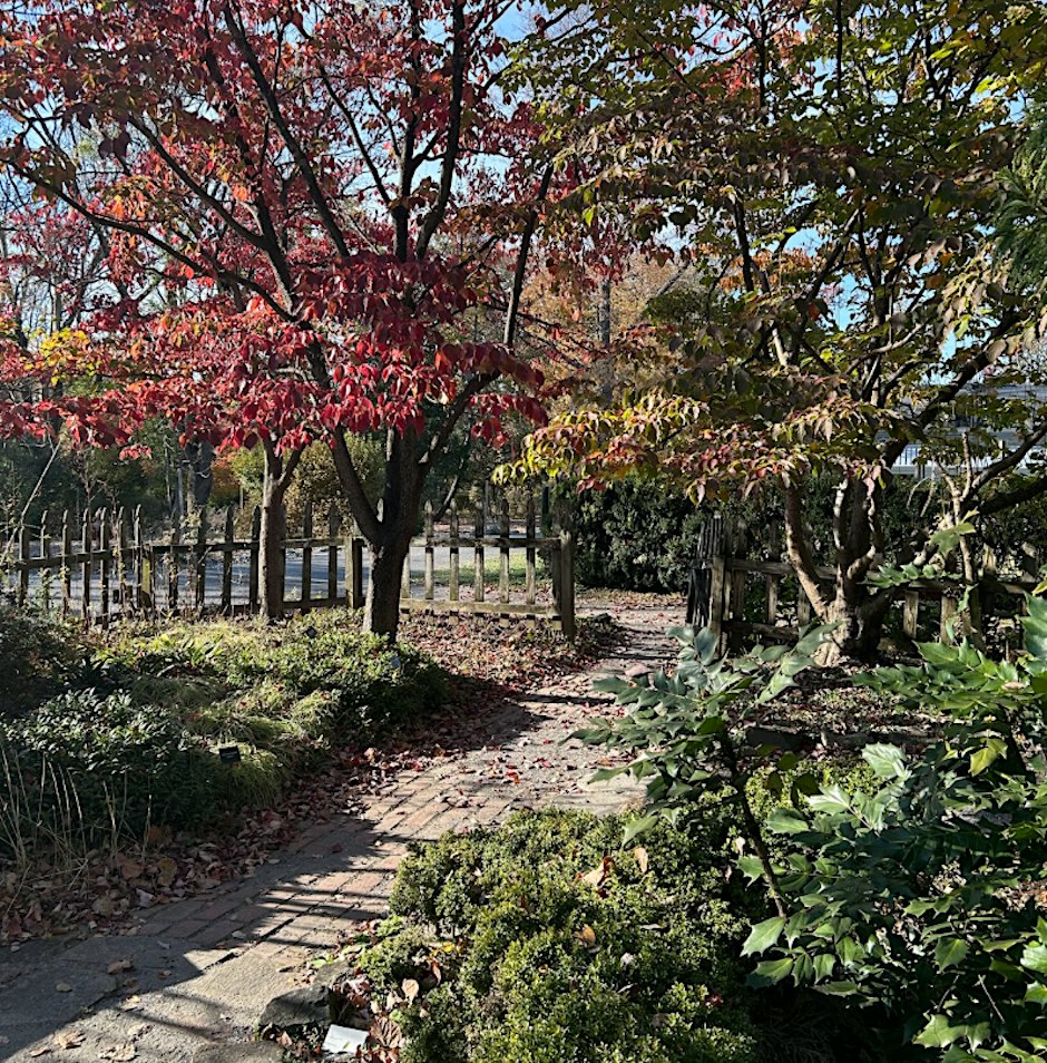 Gardener's Workshop: Gardening in Late Fall