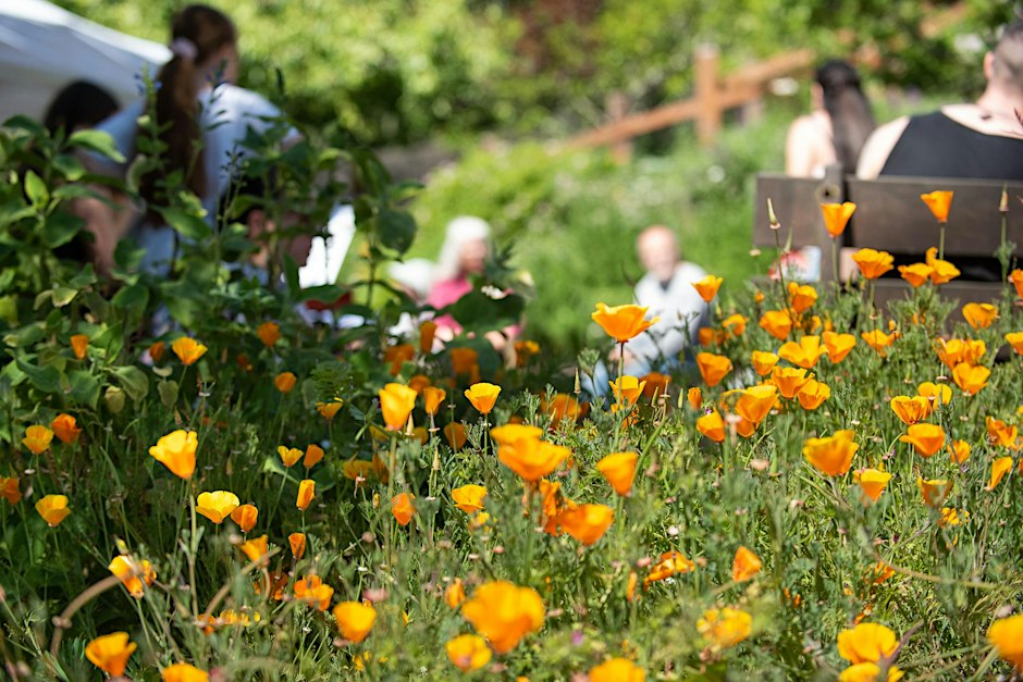 Growing a Garden: Where to Start Workshops 2026