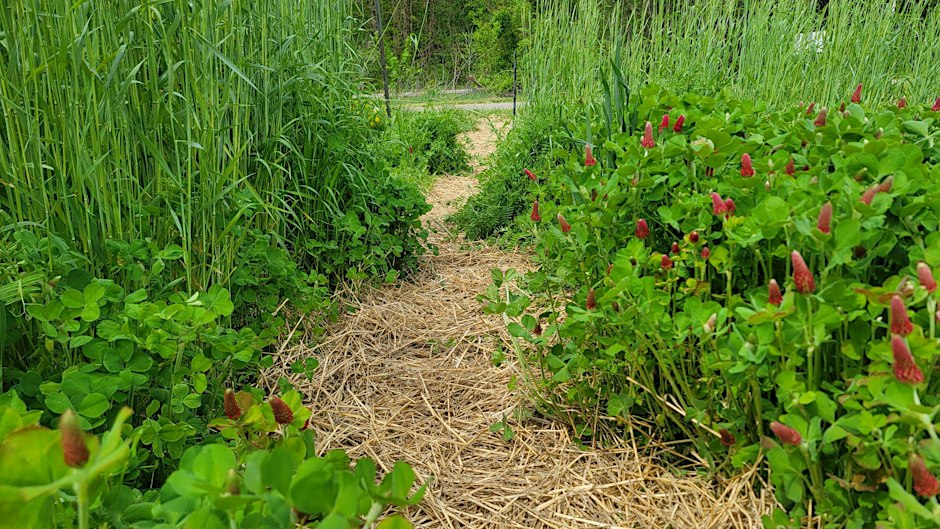 Regenerative Gardening